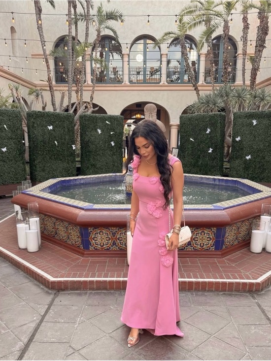 Elliatt Dresses & Skirts - Evanora Gown in Pink
ELLIATT